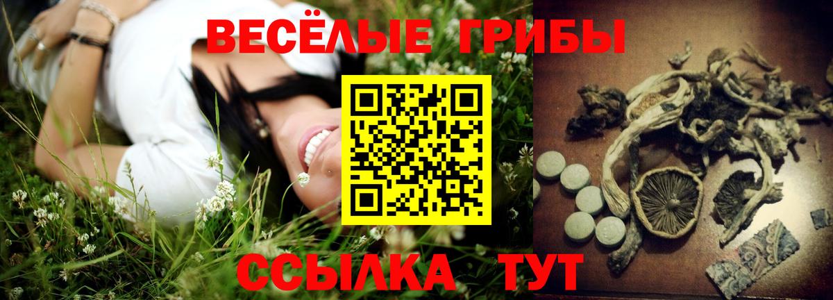 Галлюциногенные грибы Magic Shrooms Москва