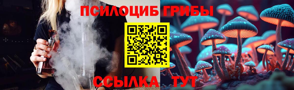 Галлюциногенные грибы мухоморы  Вход с VPN  Москва  Галлюциногенные грибы Psilocybe 